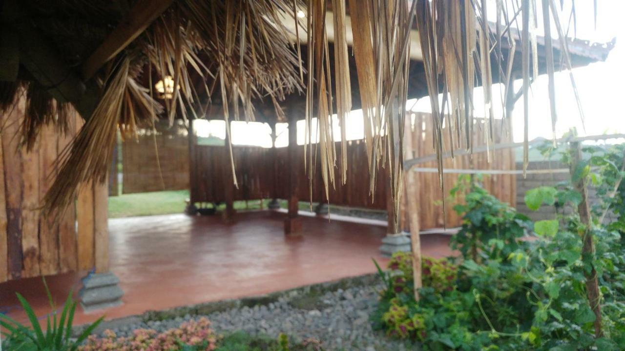 Bali Tiger Hideaway Hotel Pulukan Exterior photo