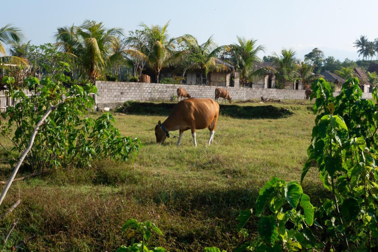 Bali Tiger Hideaway Hotel Pulukan Exterior photo